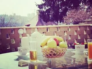 尼卡膳食公寓酒店 布拉格 捷克